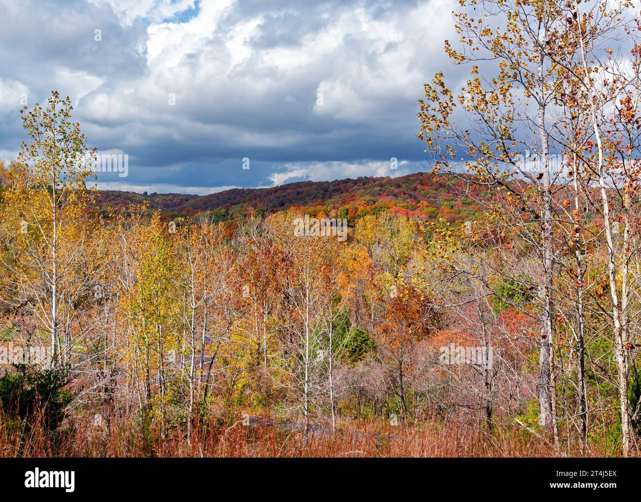 Malerische Herbstlandschaft mit bunten Blättern Stockfoto