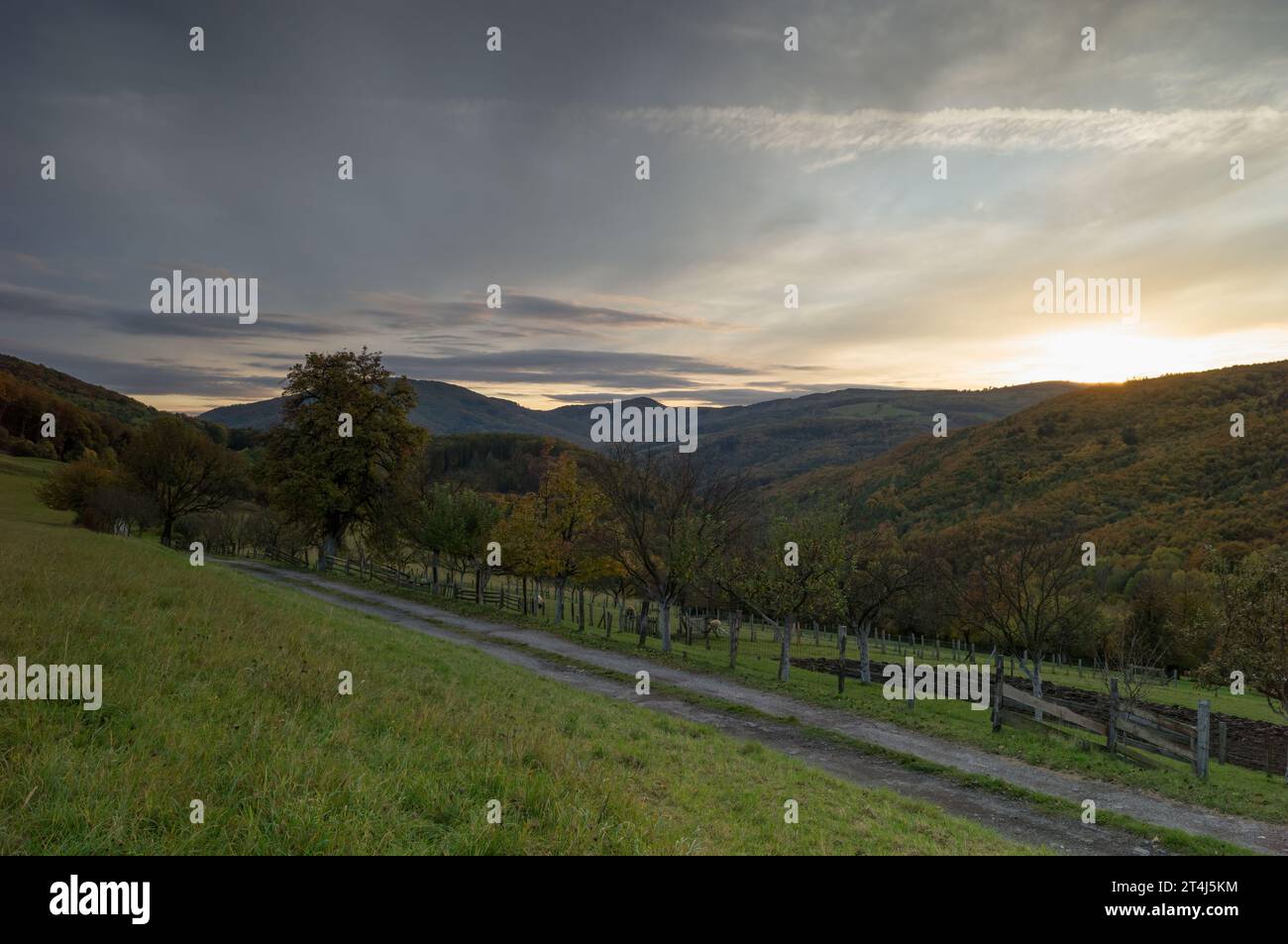 Herbstliche ländliche Landschaft mit Weg, Zaun und Bäumen. Wald und Berge im Hintergrund. Wunderschöner farbenfroher Himmel bei Sonnenuntergang. Dubrava, Slowakei Stockfoto
