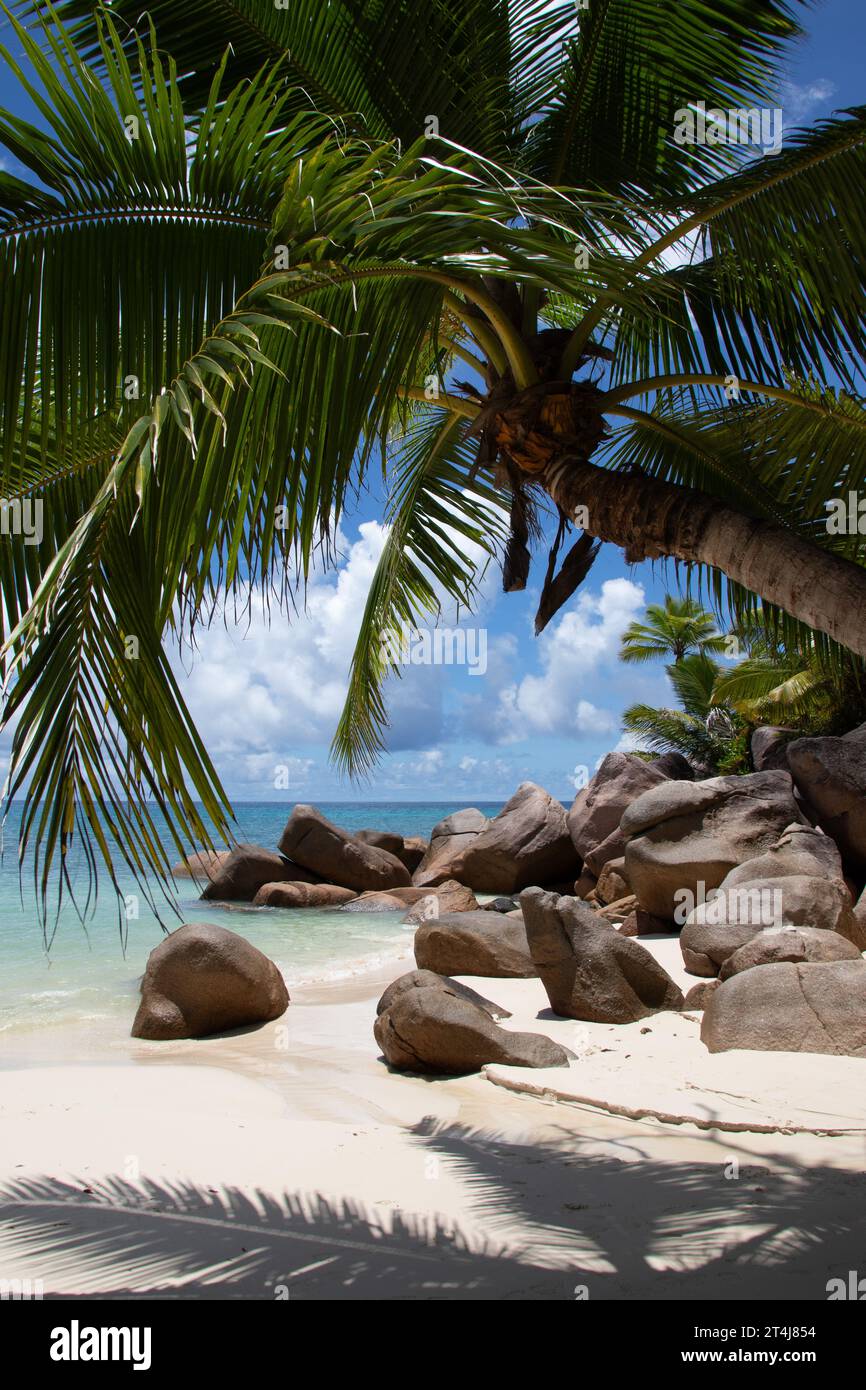 Wunderschöner palmengesäumter Strand, türkisfarbenes Wasser und Granitfelsen im Luxushotel und Resort Constance Lemuria, Praslin, Seychellen, Indischer Ozean Stockfoto