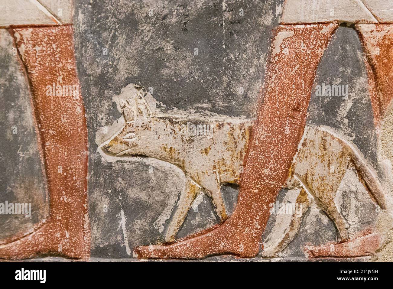 Ägypten, Sakkara, Grab von Mehu, Detail der Opferprozession: Hyena in Leine. Stockfoto