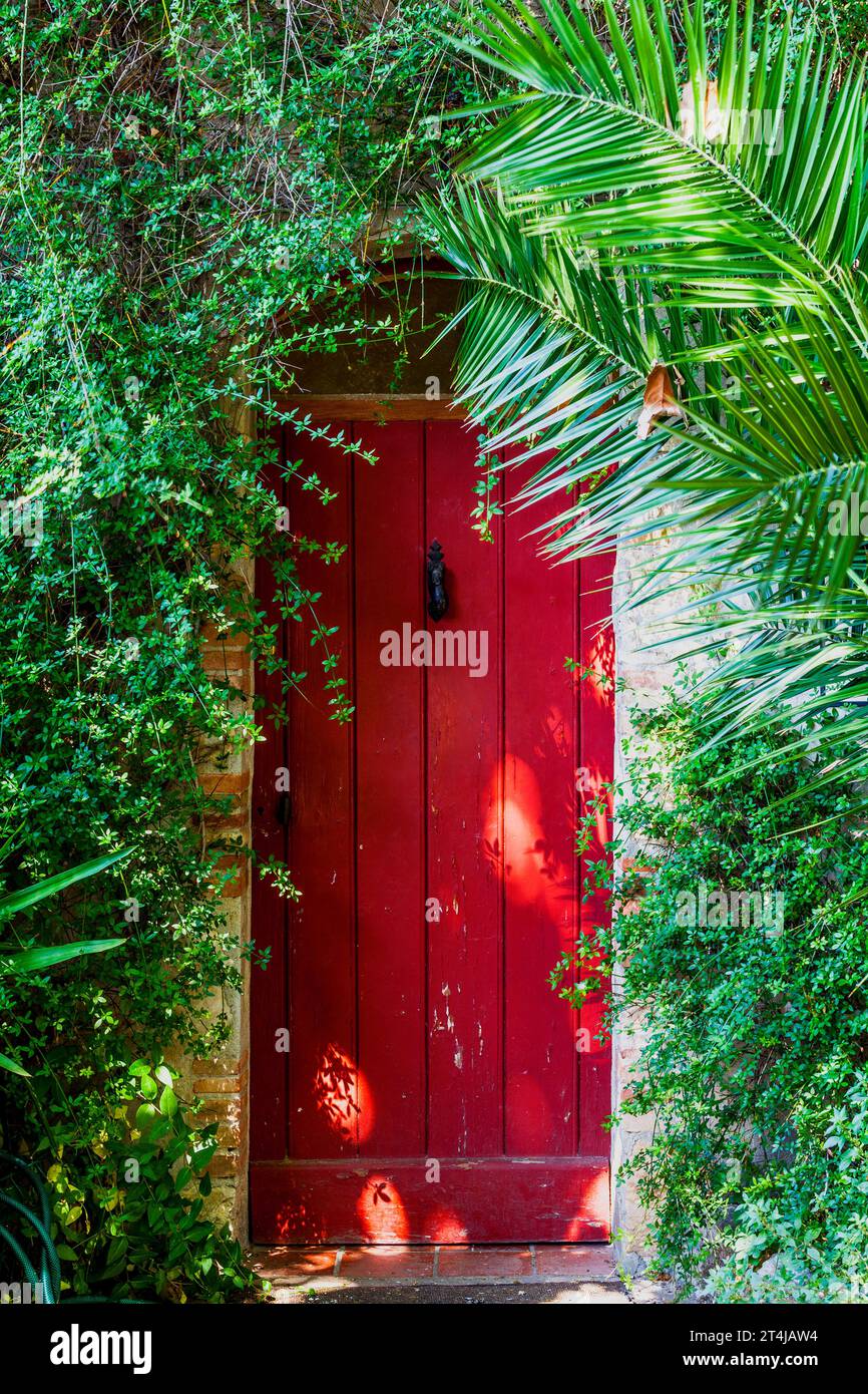 Eine wunderschöne rote Tür, umgeben von Sträuchern, die ein Gefühl von Gemütlichkeit und Einzäunung in Le Castellet, Frankreich, bietet. Stockfoto