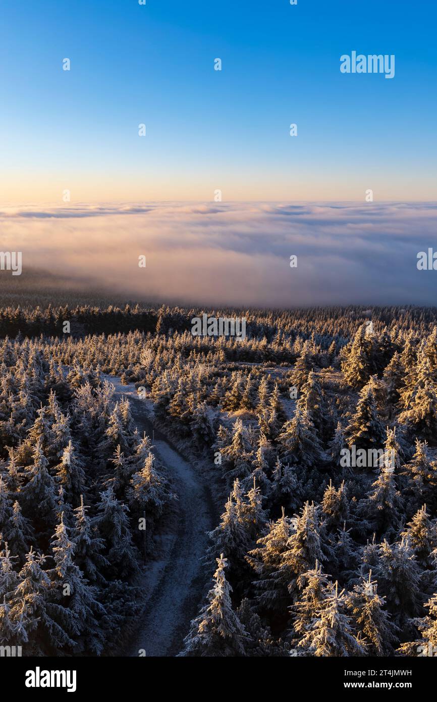 Winterlandschaft in der Nähe von Velka Destna, Orlicke Berge, Ostböhmen, Tschechien Stockfoto