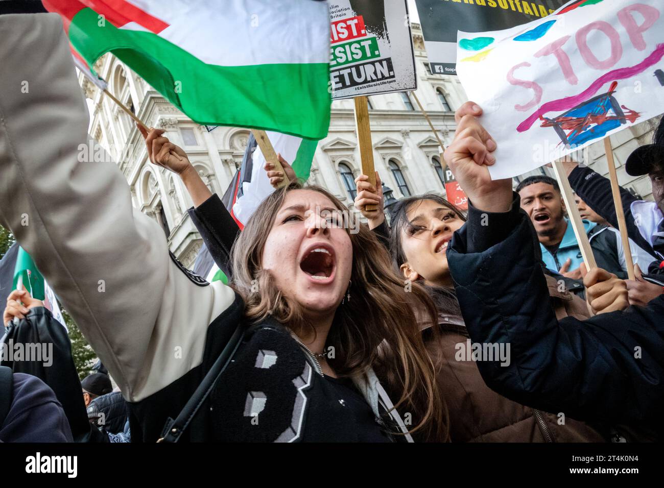 Demonstranten vor der Downing Street protestieren in Solidarität mit Palästinensern. Stockfoto