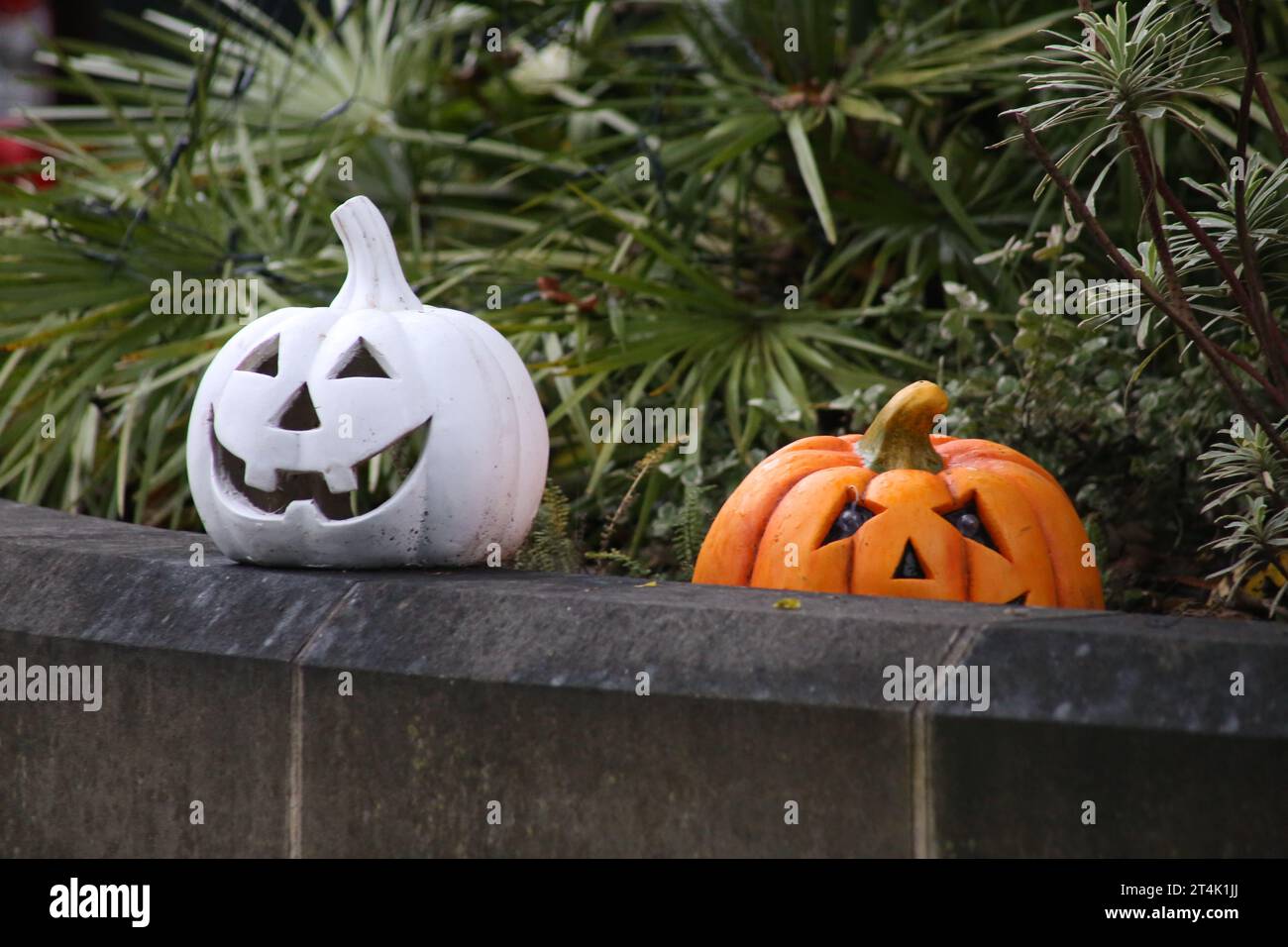 UK Wetter: Halloween in Jesmond Streets für Halloween und Jesmond Dene in Newcastle upon Tyne. Regenbändern, örtlich starker Regen, der sich nach Nordosten bewegt, sorgen für einen stimmungsvollen Halloween-Abend. Sturm Ciarán wird diese Woche sintflutartige Regenfälle und Sturmwinde nach Großbritannien bringen, die am Donnerstag den Süden Großbritanniens durchqueren. Newcastle Upon Tyne, Großbritannien, 31. Oktober 2023, Credit: DEW/Alamy Live News Stockfoto