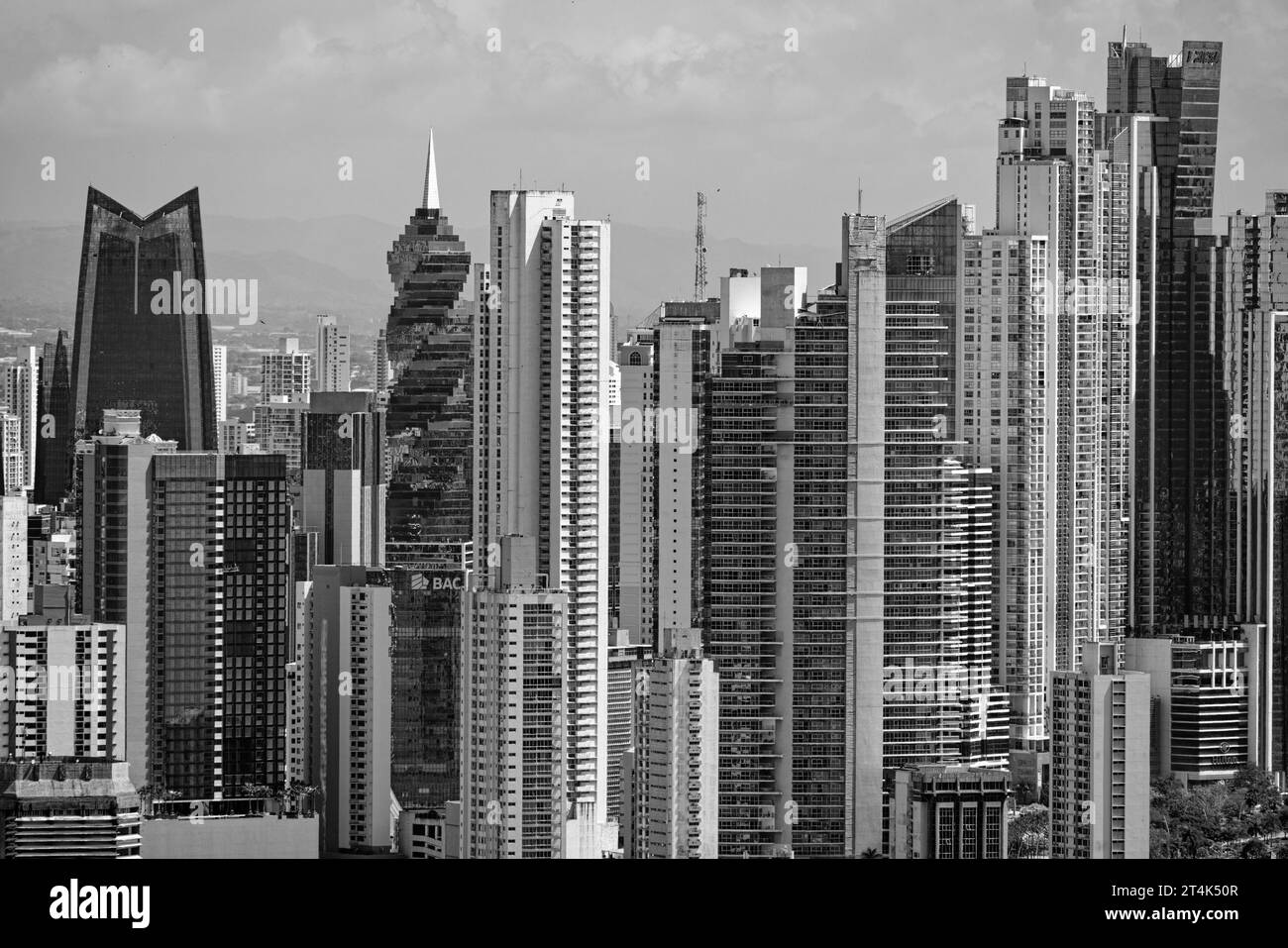 Eine monochromatische Skyline, die die architektonische Vielfalt und Dichte eines lebendigen Stadtbildes erfasst. Stockfoto