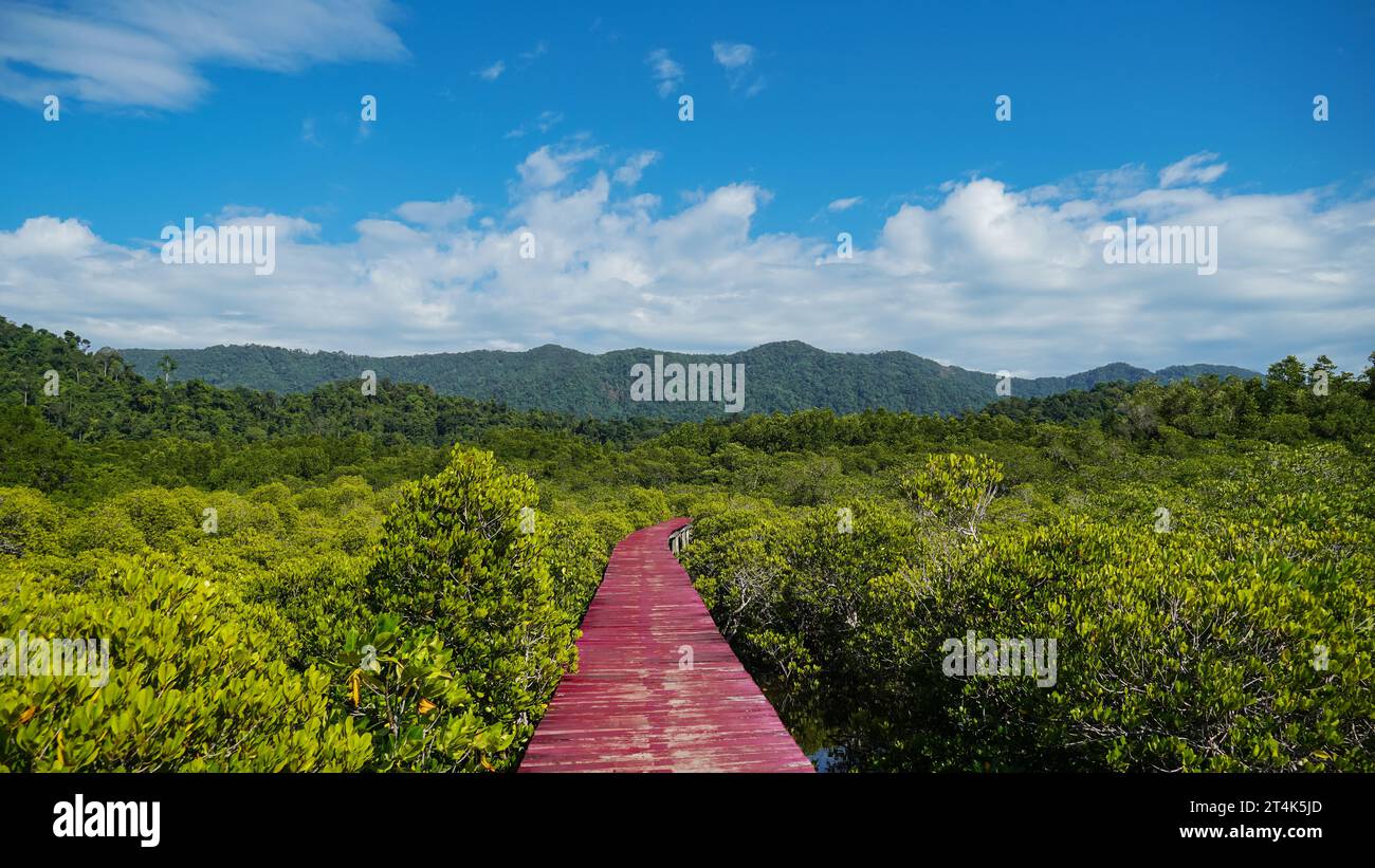 Der rote Holzsteg erstreckt sich durch den Mangrovenwald unter dem blauen Himmel. Im Mangrovenwald Salakphet, Koh Chang, trat, Thailand. Stockfoto