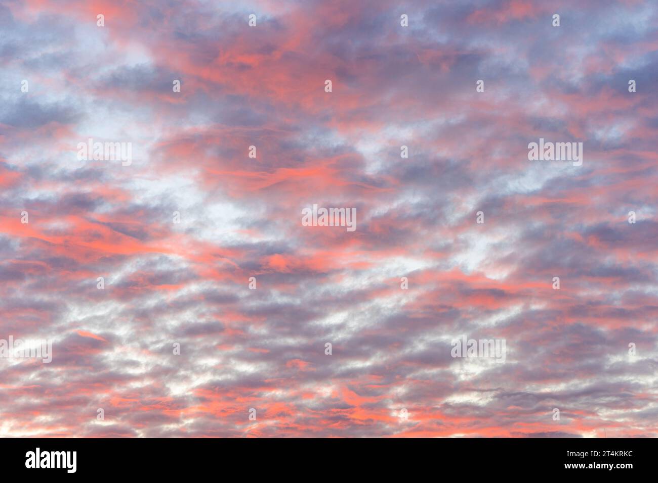 Dramatischer rosa und lila Zuckerwatte Himmel Stockfoto