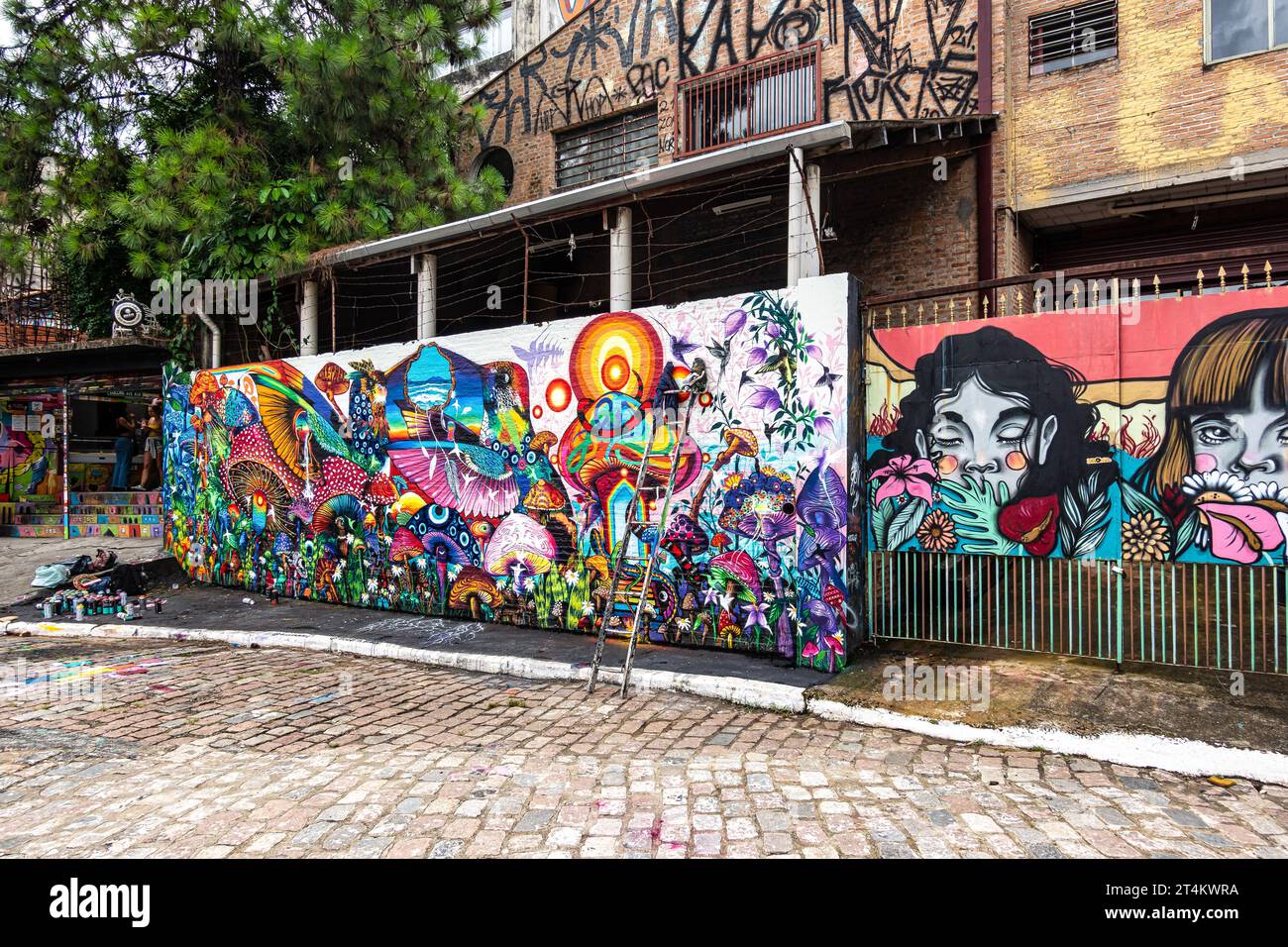 Beco do Batman in Sao Paulo, Brasilien, ist ein beliebtes Touristenziel aufgrund der dichten Graffiti-Konzentration, die die Straßen in Vila säumen Stockfoto