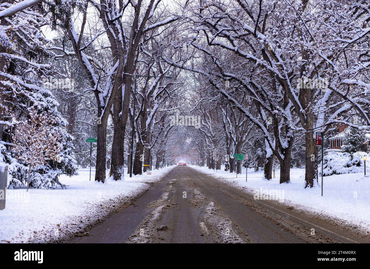 Denver, Colorado, historischer 6th Avenue Parkway an einem Wintertag. Stockfoto
