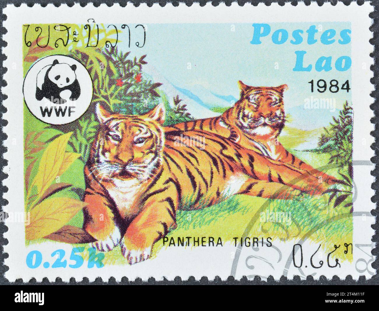 : Gestempelte Briefmarke von Laos, die Tiger (Panthera tigris), World Wildlife Fund, um 1984 zeigt. Stockfoto