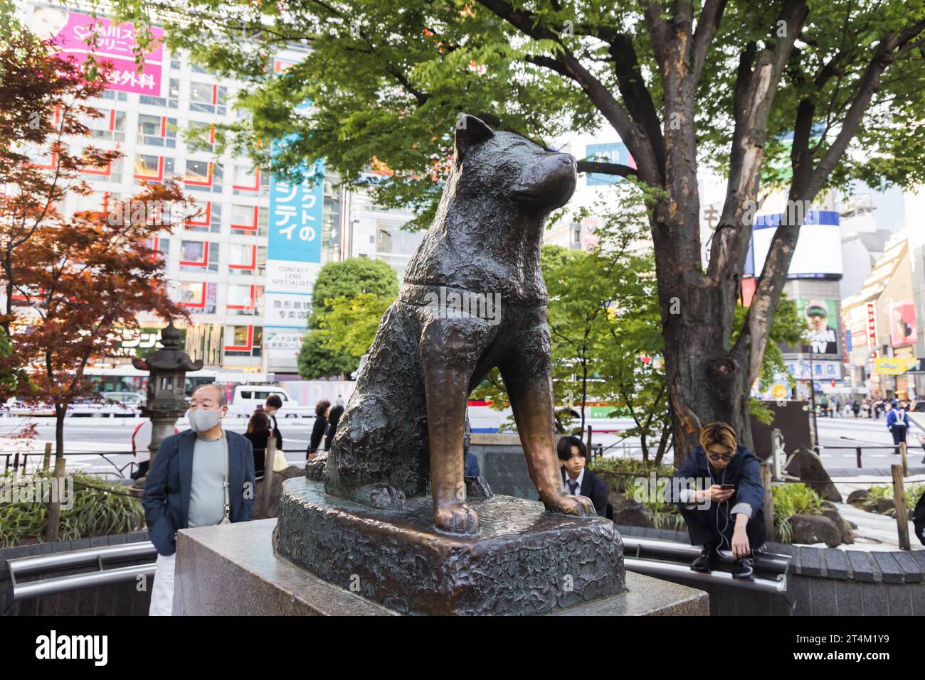 Tokio, Japan - 11. April 2023: Hachiko Bronzestatue am Bahnhof Shibuya mit nicht identifizierten Personen. Hachiko war ein japanischer Akita-Hund, an den er sich erinnerte Stockfoto