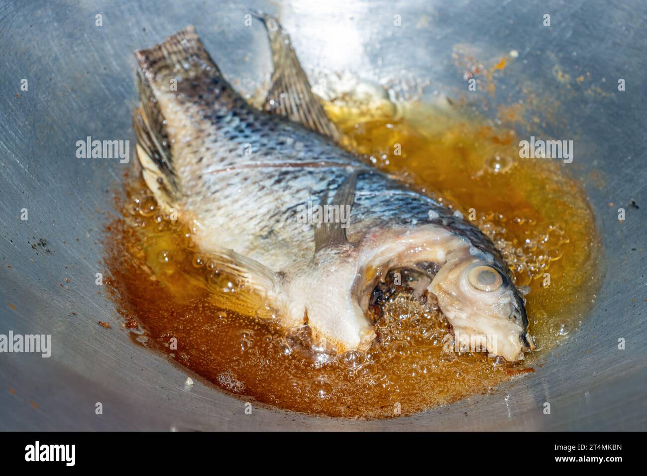 Tilapia-Fisch wird in Öl in einer Pfanne gebraten Stockfoto