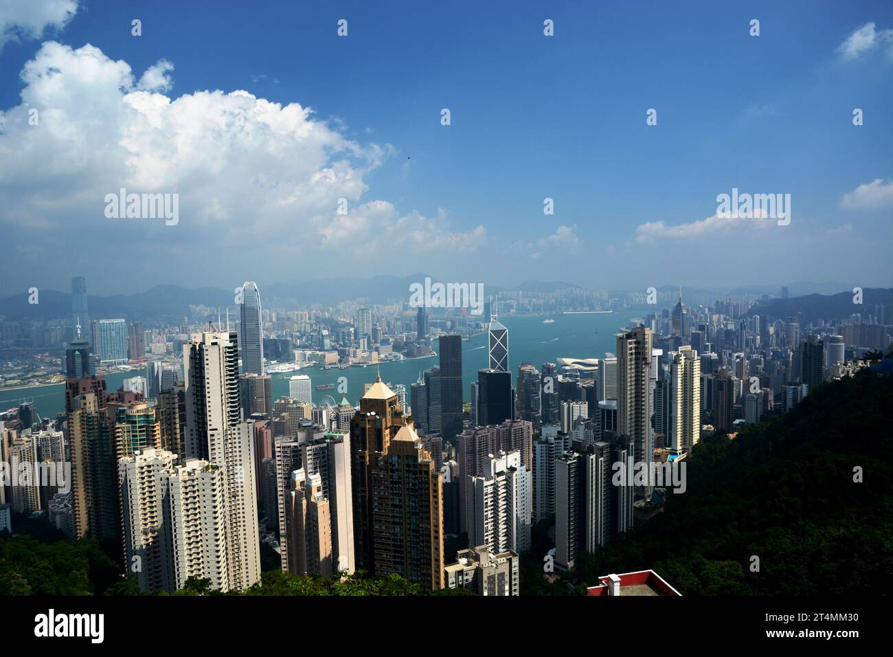 Blick auf Hongkong vom Peak. Stockfoto