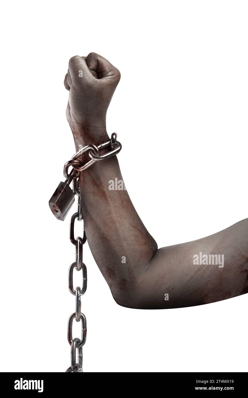 Die Hand eines gruseligen Zombies mit Blut und Wunden, die an der Eisenkette gebunden sind, ist auf einem weißen Hintergrund isoliert Stockfoto