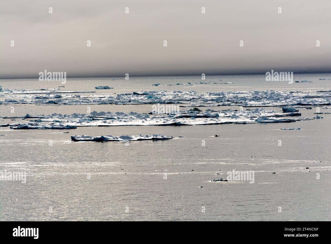 Eisberge vor niedrigen Wolken, die eiskalte Gewässer in der Nähe der Hope Bay bedecken. antarktische Halbinsel. antarktis Stockfoto