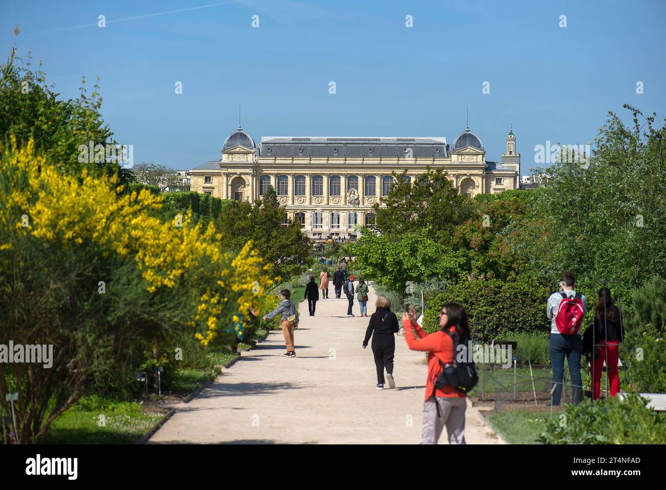 Touristen im Jardin des Plantes, Botanischer Garten, 57 Rue Cuvier, Paris, Frankreich Stockfoto