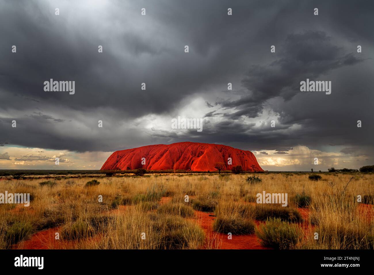 Gewitter über Uluru ist selten. Stockfoto