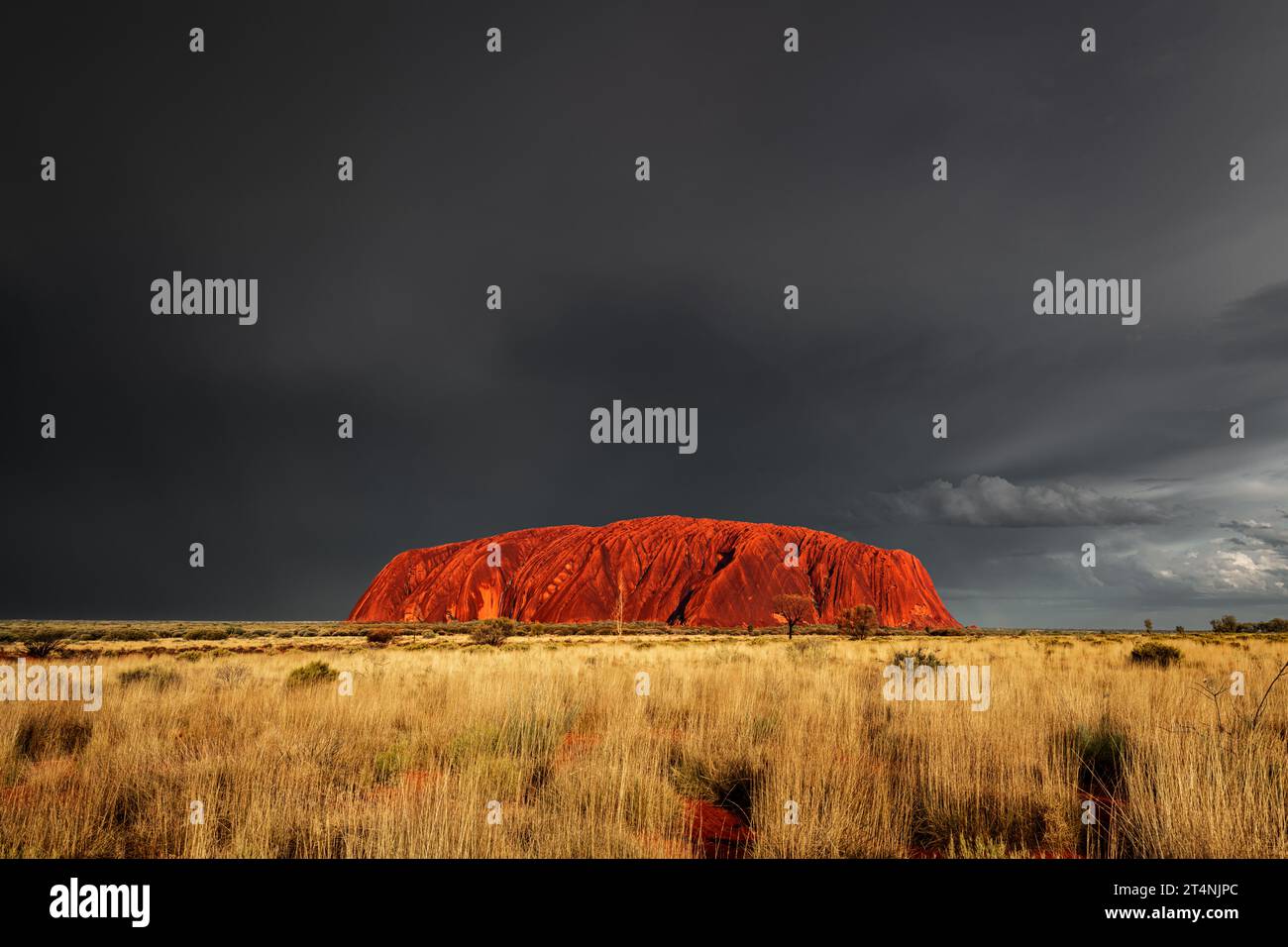 Gewitter über Uluru ist selten. Stockfoto