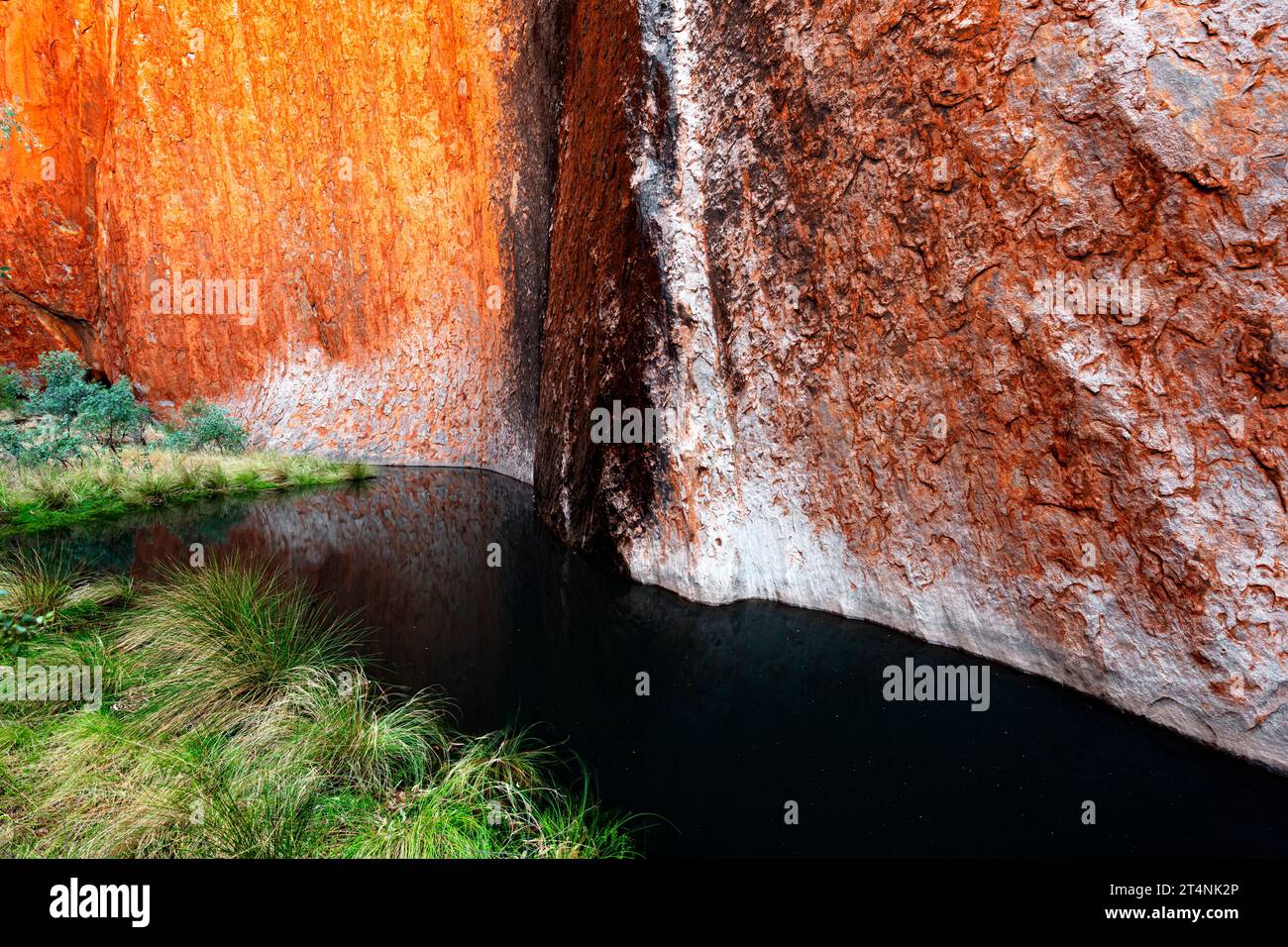 Wasserloch der Kantju-Schlucht am Fuße des Uluru, gefüllt mit frischem Wasser nach einigen guten Regenfällen. Stockfoto