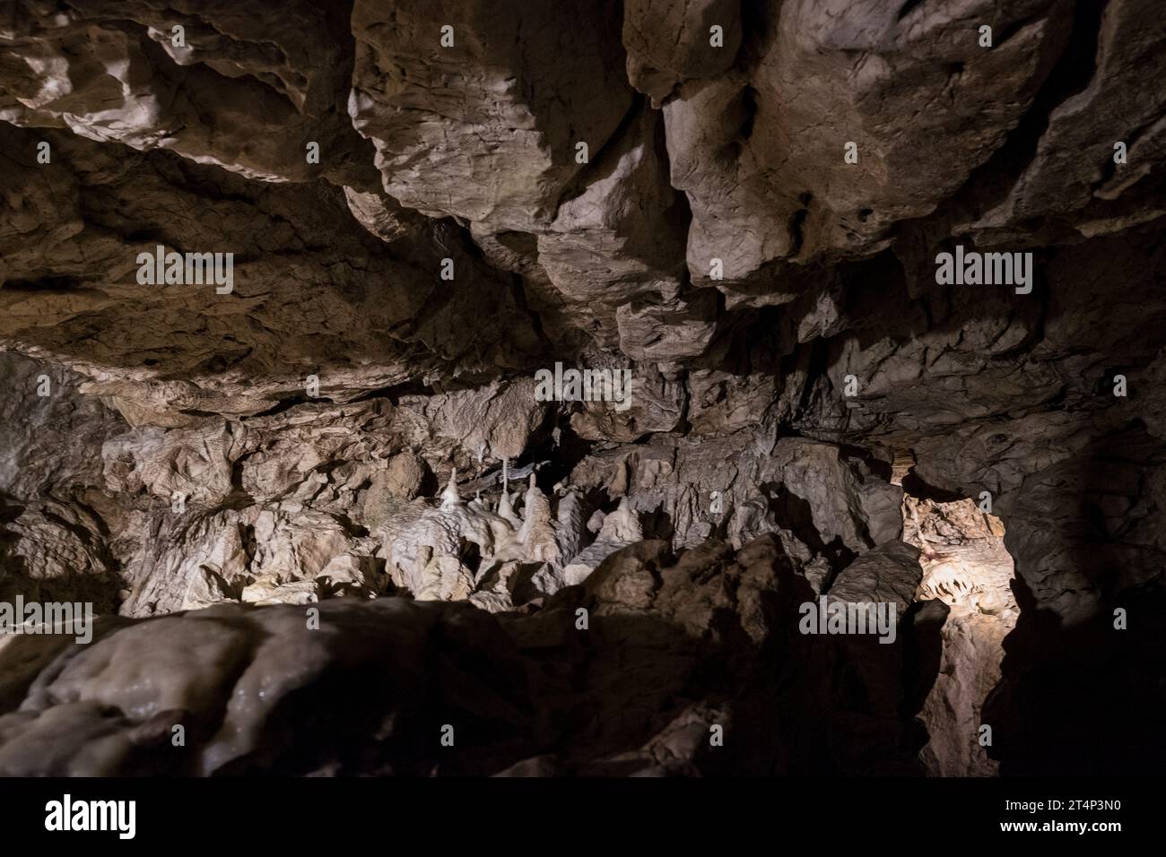 Höhlen von Vallorbe, Schweiz, Europa Stockfoto