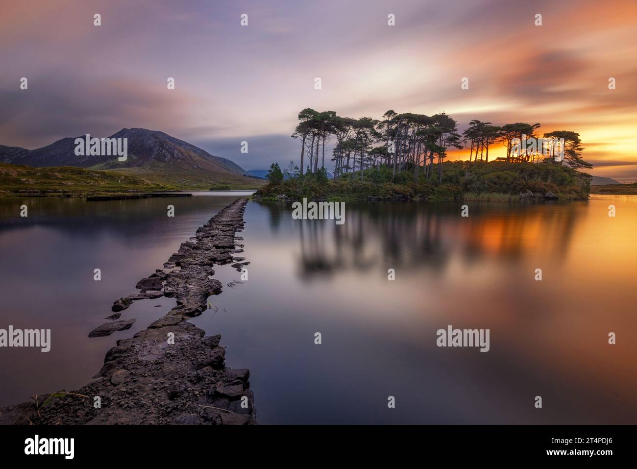 Derryclare Lough ist ein Süßwassersee, der von den Twelve Bens Bergen und Wäldern in Connemara, Irland, umgeben ist. Stockfoto