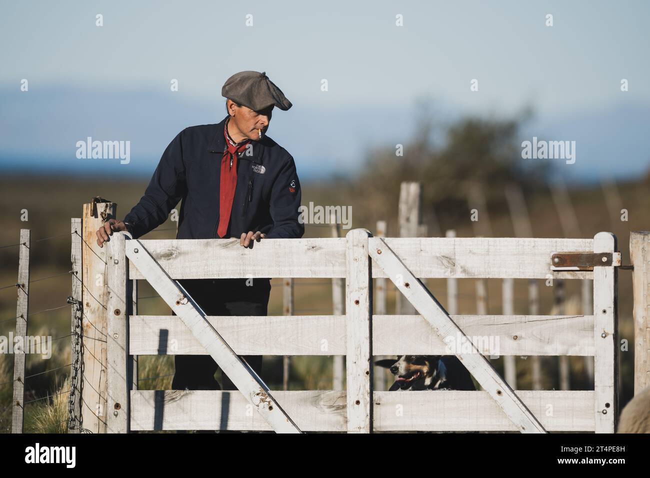Ein Gaucho auf einer Ranch in Argentinien Stockfoto