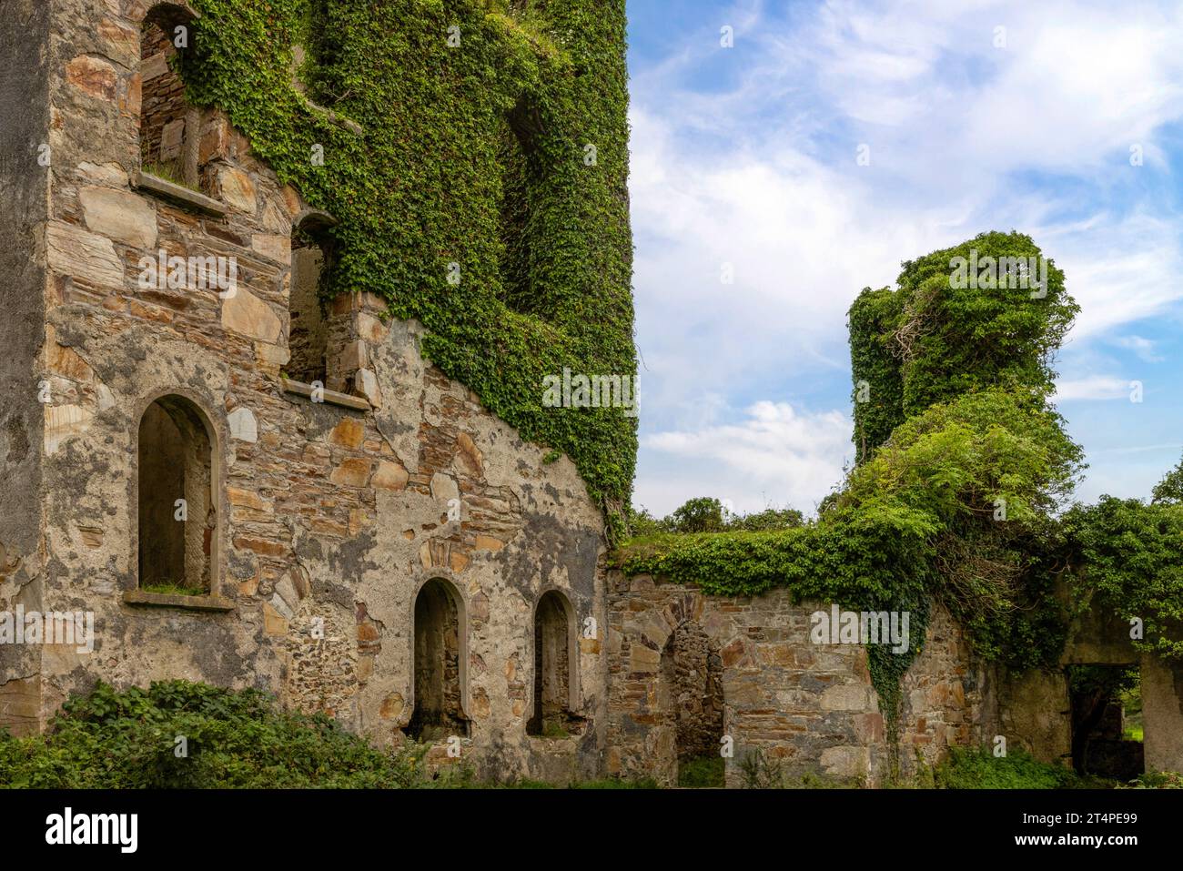 Clifden Castle ist eine Burgruine aus dem 19. Jahrhundert in Connemara, Irland. Stockfoto
