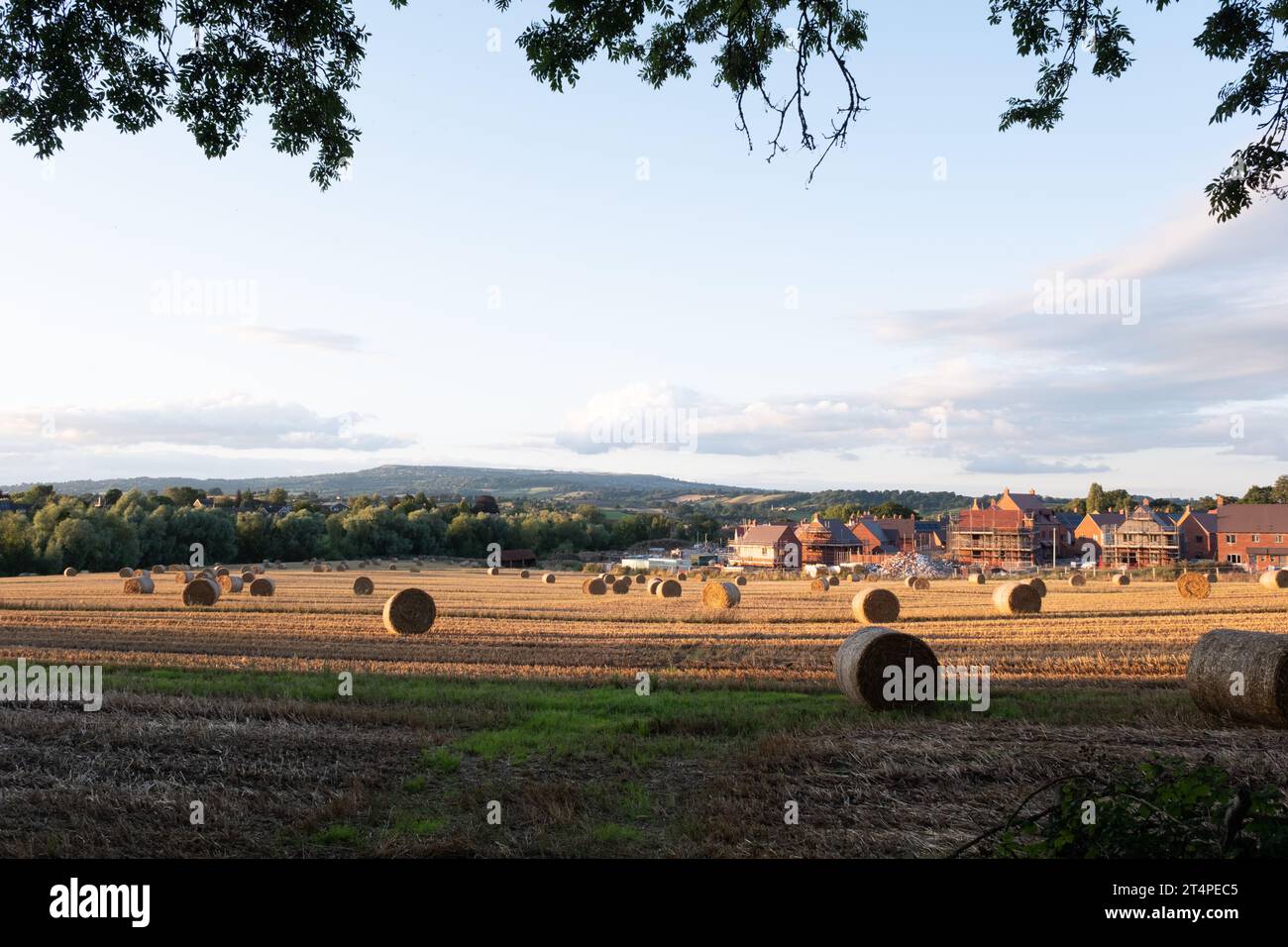 Neue Häuser werden auf dem Green Belt-Land gebaut Stockfoto