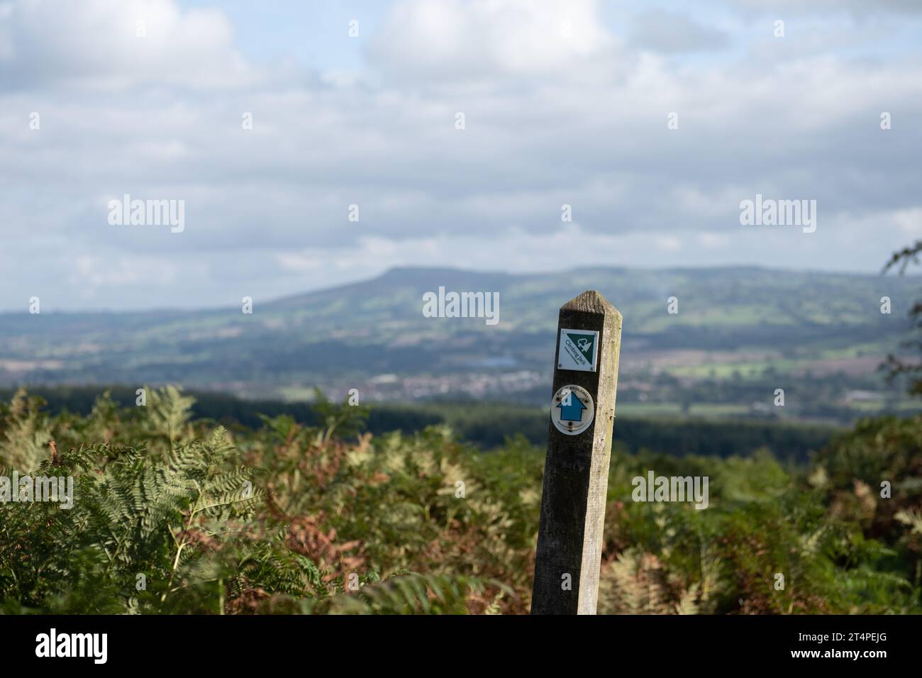 Mortimers Forest Trail. Stockfoto