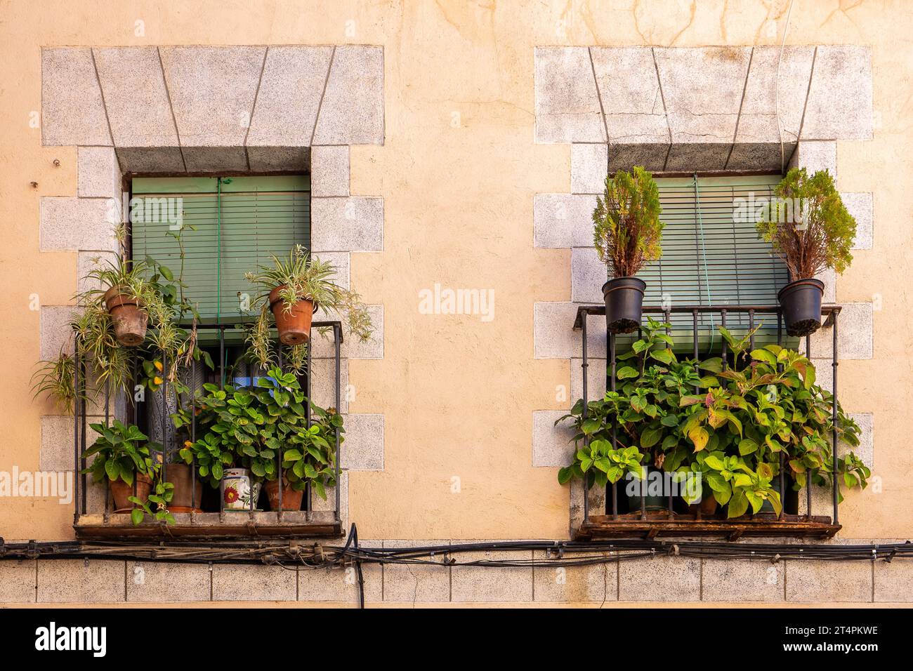 Zwei alte Steinfenster mit Balkonen mit Blumentöpfen, Pflanzen und Steinrahmen in einem traditionellen spanischen Wohngebäude in Toledo, Spanien. Stockfoto