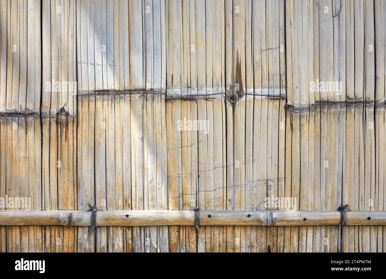Nahaufnahme von Bambusmatte Wand, natürlicher Hintergrund. Stockfoto