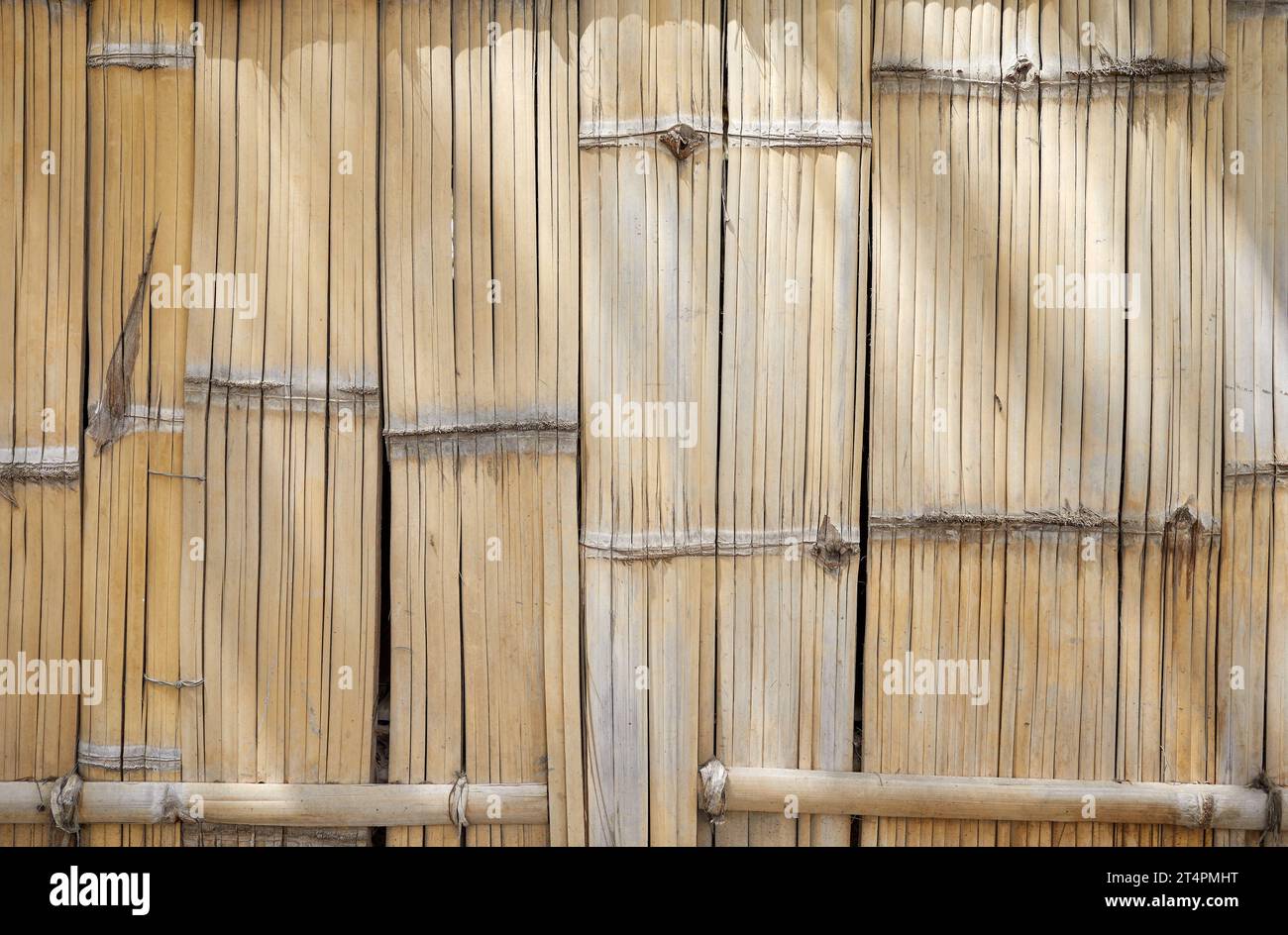 Nahaufnahme von Bambusmatte Wand, natürlicher Hintergrund. Stockfoto