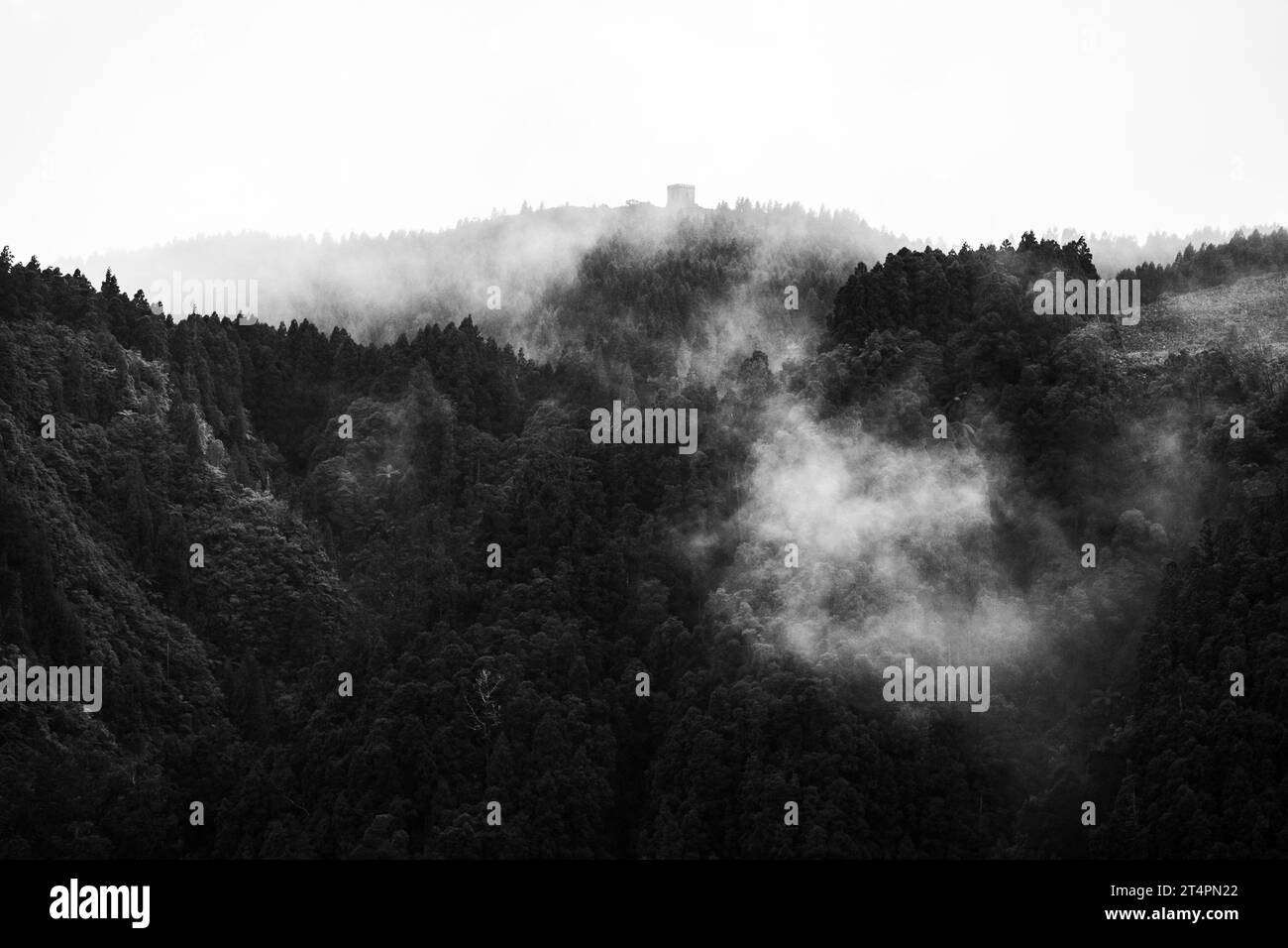 Geheimnisvolle Landschaft mit Nebel und Bäumen am Kraterrand, Furnas, Azoren Inseln. Stockfoto
