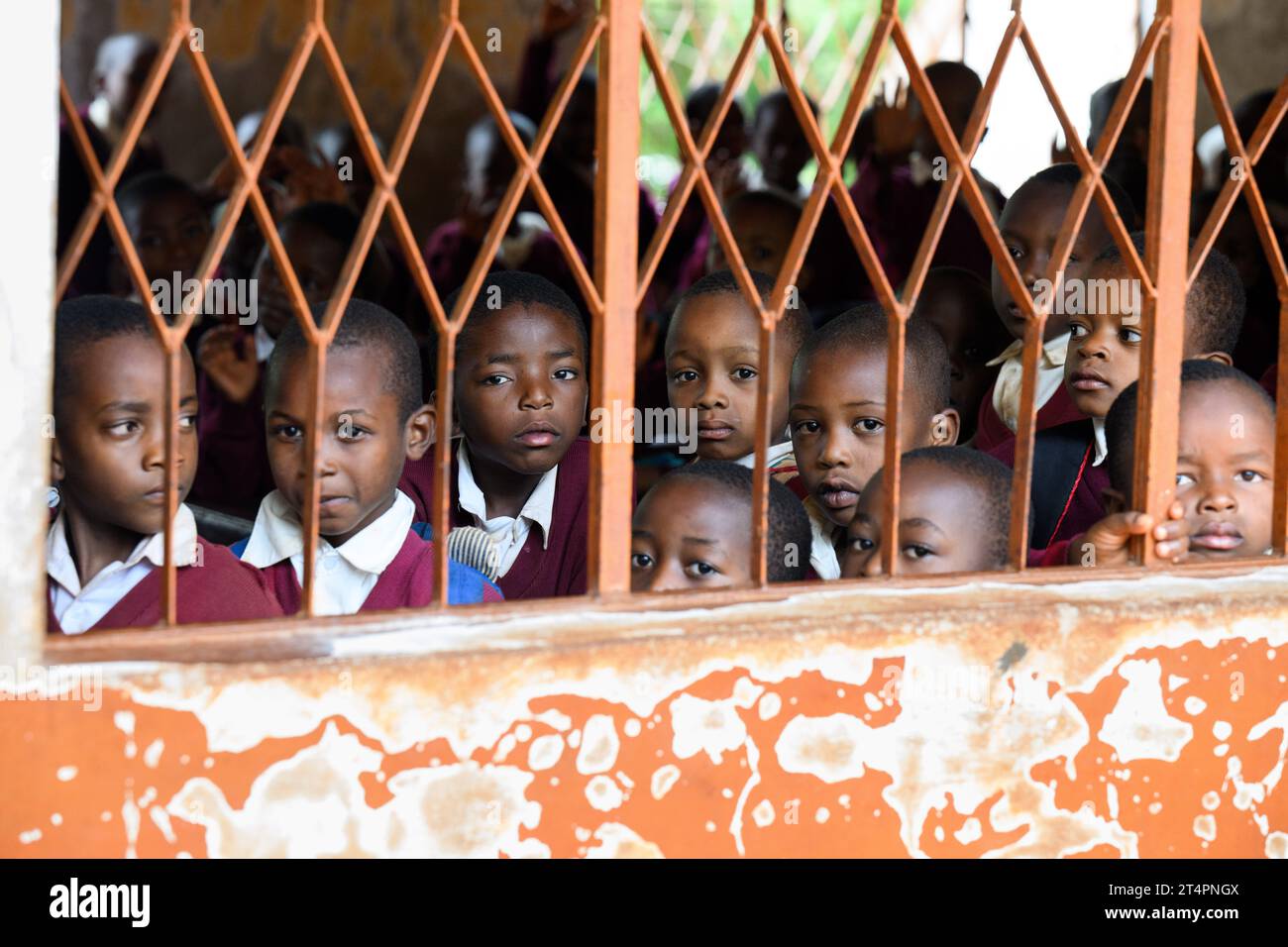 Songea, Tansania. November 2023. Schüler der Maji-Maji Primary School in Songea blicken während des Besuchs von Präsident Steinmeier aus dem Fenster eines Klassenzimmers. Steinmeier beendete seine Tansania-Reise am Mittwoch mit seinem Besuch in Songea. Quelle: Bernd von Jutrczenka/dpa/Alamy Live News Stockfoto