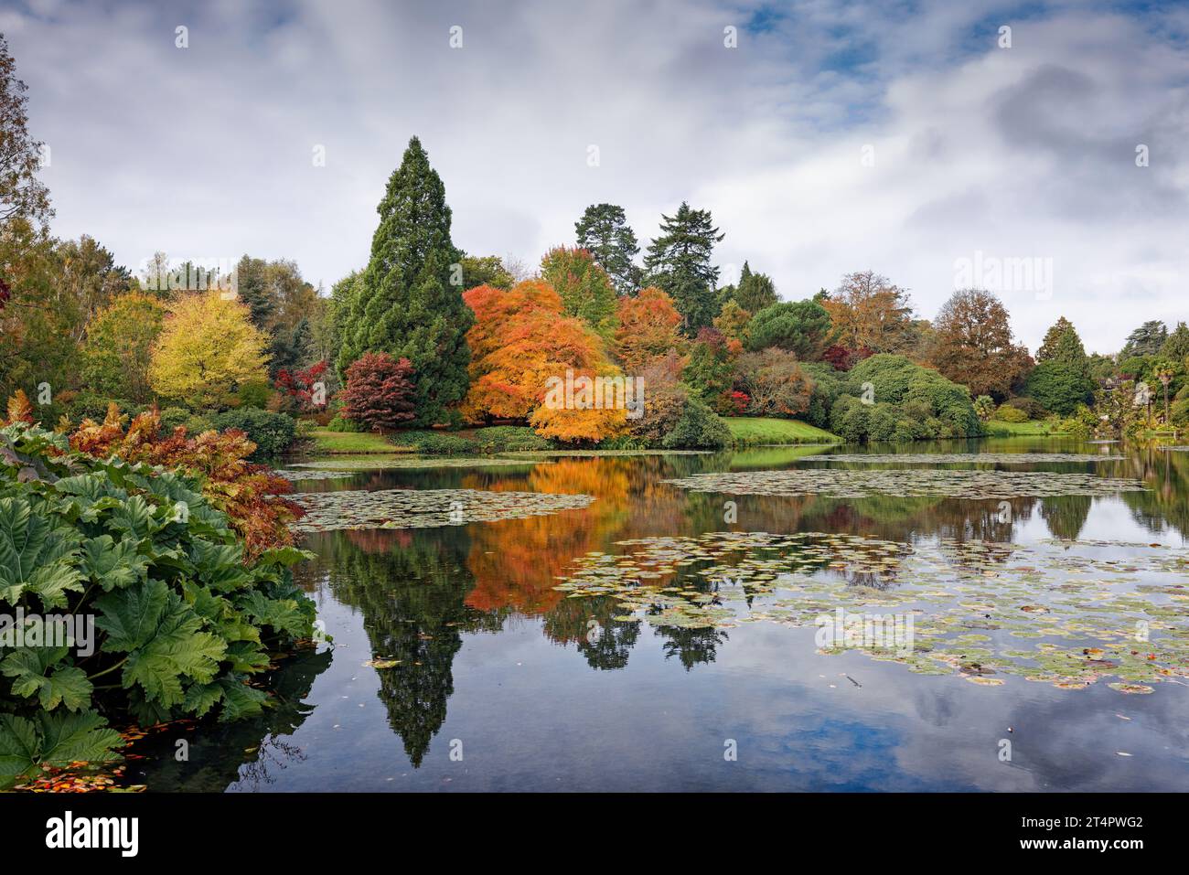 Herbstfarben eines englischen Parks Stockfoto