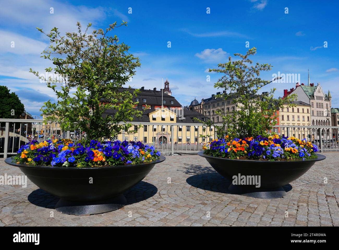 Schweden, Stockholm, Blumenausstellung auf der Insel Riddarholmen mit Blick auf die Altstadt. Stockfoto
