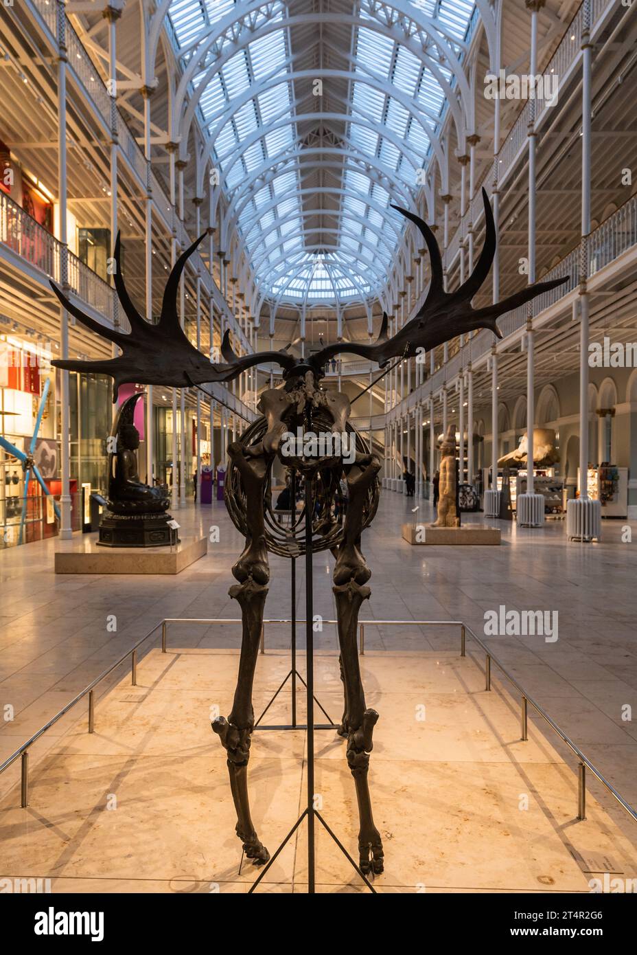 Die Grand Gallery of the National Museum of Scotland, das meistbesuchte Museum in Edinburgh Stockfoto