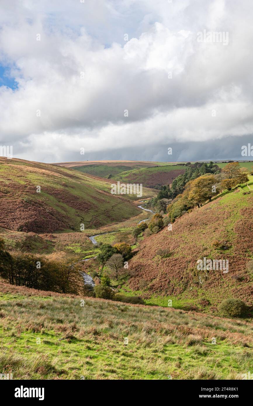 Das Tal des kleinen Flusses Barle und das geschwungene Moorland von Exmoor Stockfoto