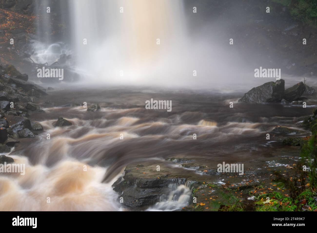 Hardrow Force, Englands höchster ununterbrochener Wasserfall mit 30 m im Herbst, in der Nähe der Marktstadt Hawes im Yorkshire Dales National Park, Großbritannien. Stockfoto