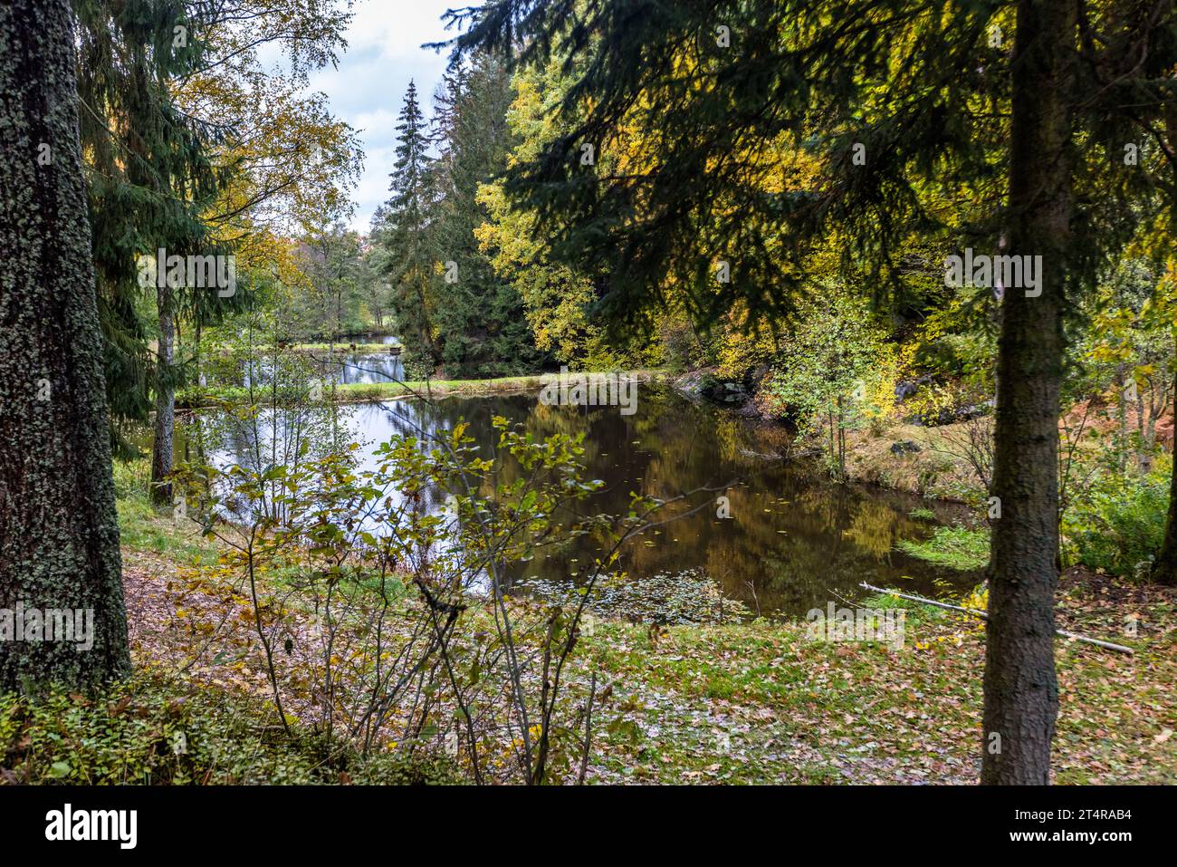 Ein Kettenweiher liegt ruhig im herbstlich gefärbten Wald nahe Falkenberg, Oberpfalz, Deutschland. Solche Kettenweiher, die in einer Reihe mit einem leichten Höhenunterschied zwischen ihnen verbunden sind, sind typisch für die Karpfenzucht der Region. Dieser Weiher gehört zu einer Gruppe von Arbeitsweihern entlang des Bürgerwaldwegs. Stockfoto