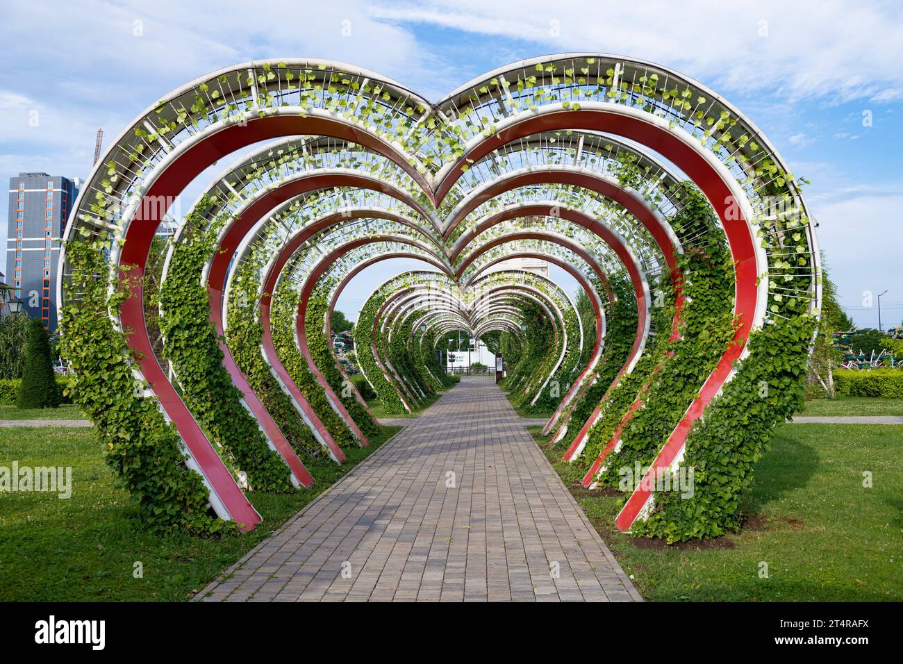 GROSNY, RUSSLAND - 14. JUNI 2023: Herzförmiger Bogen im Blumenpark an einem Junimorgen Stockfoto
