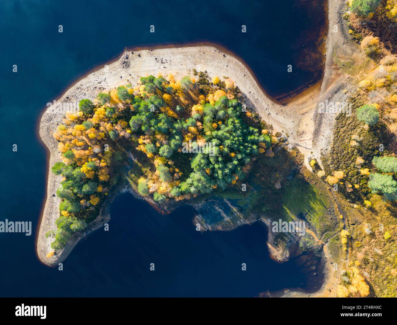 Luftaufnahmen herbstlicher Farben im Wald neben Loch Beinn, einem Mheadhoin in Glen Affric, Scottish Highlands, Schottland, Großbritannien Stockfoto