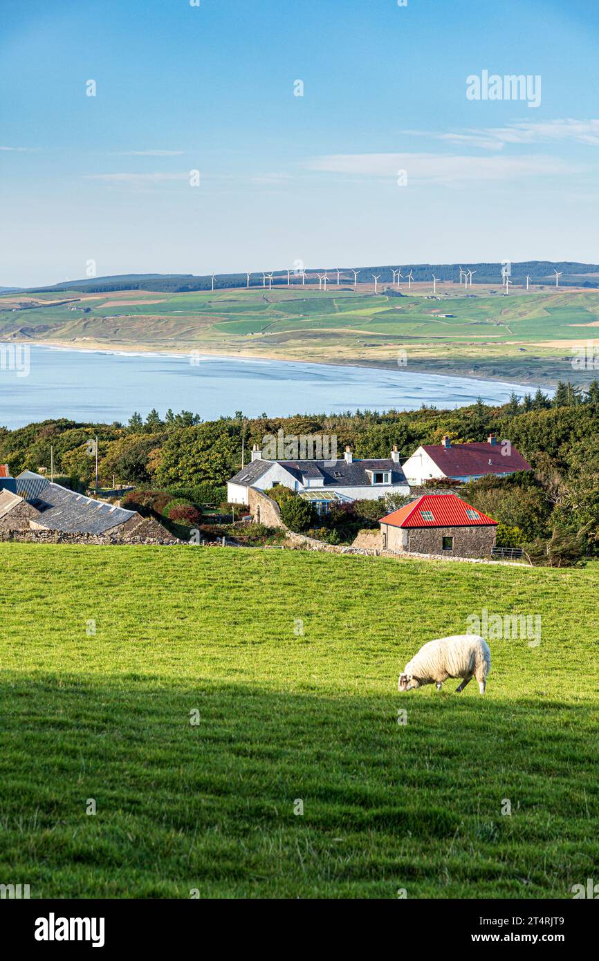 Abendsonne auf dem Weiler High Lossit in der Nähe von Machrihanish auf der Kintyre Peninsula, Argyll & Bute, Schottland Großbritannien Stockfoto