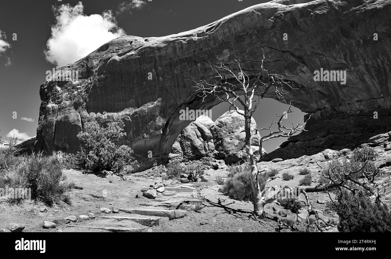 Arches-Nationalpark, Utah Stockfoto