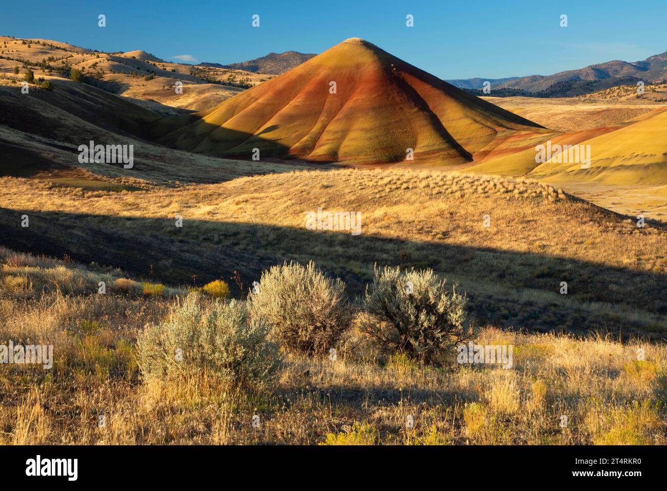Gemalten Hügeln von gemalten Hügeln Overlook Trail, John Day Fossil Betten Nationaldenkmal gemalt Hügel Einheit, Oregon Stockfoto