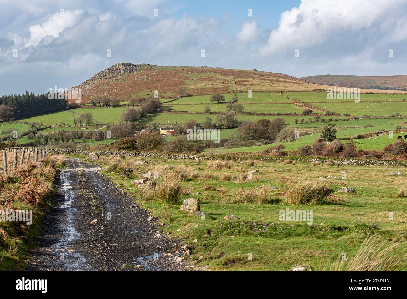 Sheeps Tor auf Dartmoor Stockfoto