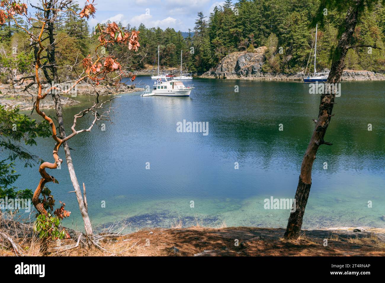 Boote im Smuggler Cove Marine Park, Sechelt an der Sunshine Coast in British Columbia, Kanada. Stockfoto