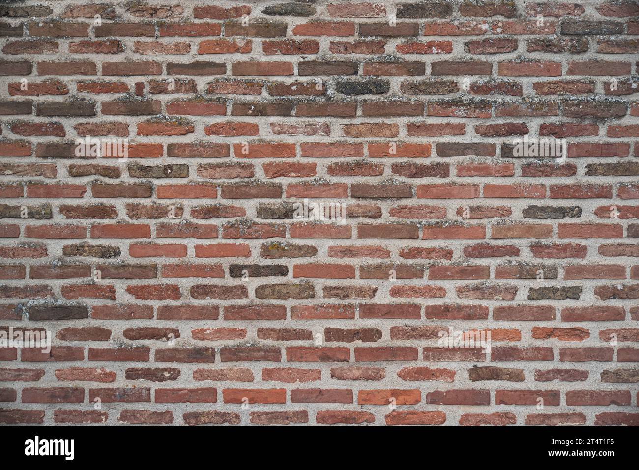 Alte rote Ziegel Wand Textur Stockfoto