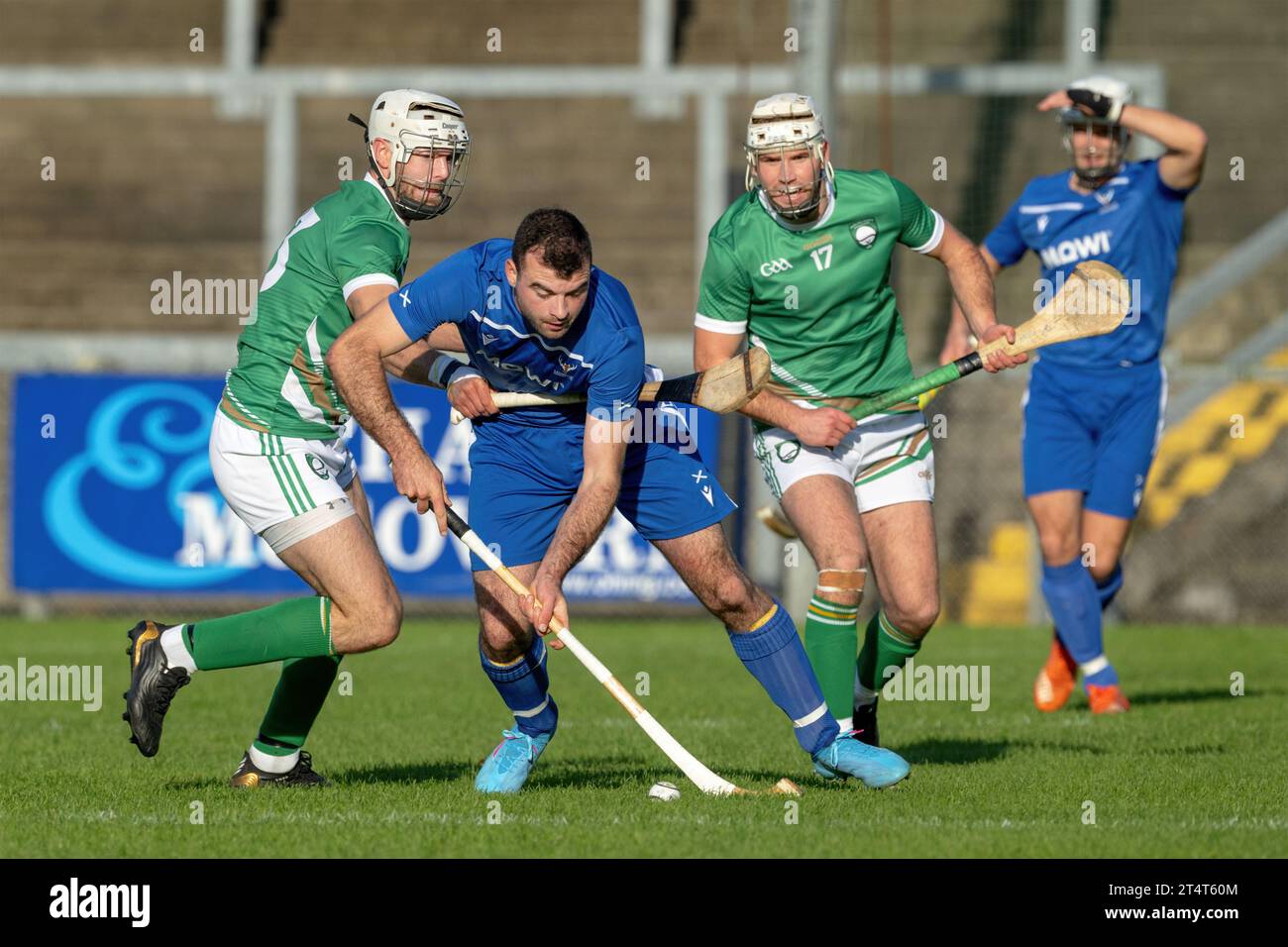 Actionbild aus dem irischen gegen Schottland Shinty Hurling, gespielt im Jahr 2023 bei Pairc Esler, Newry, Nordirland. Stockfoto