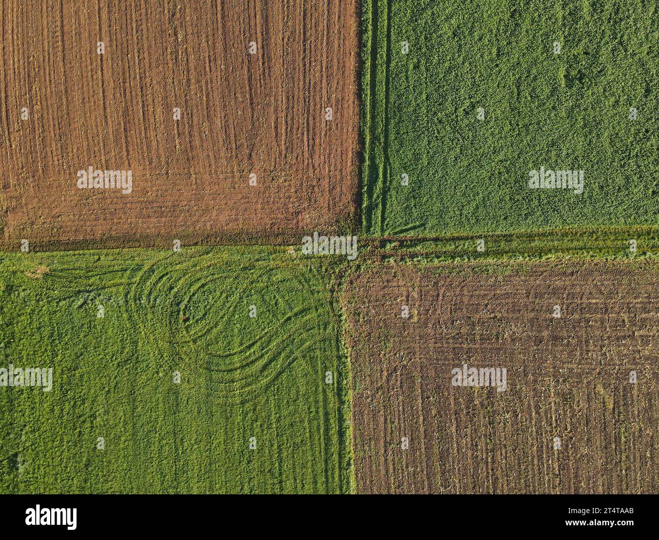 Quadratische grüne Grasfelder und braune gepflügte Felder mit Boden im Sommer Stockfoto